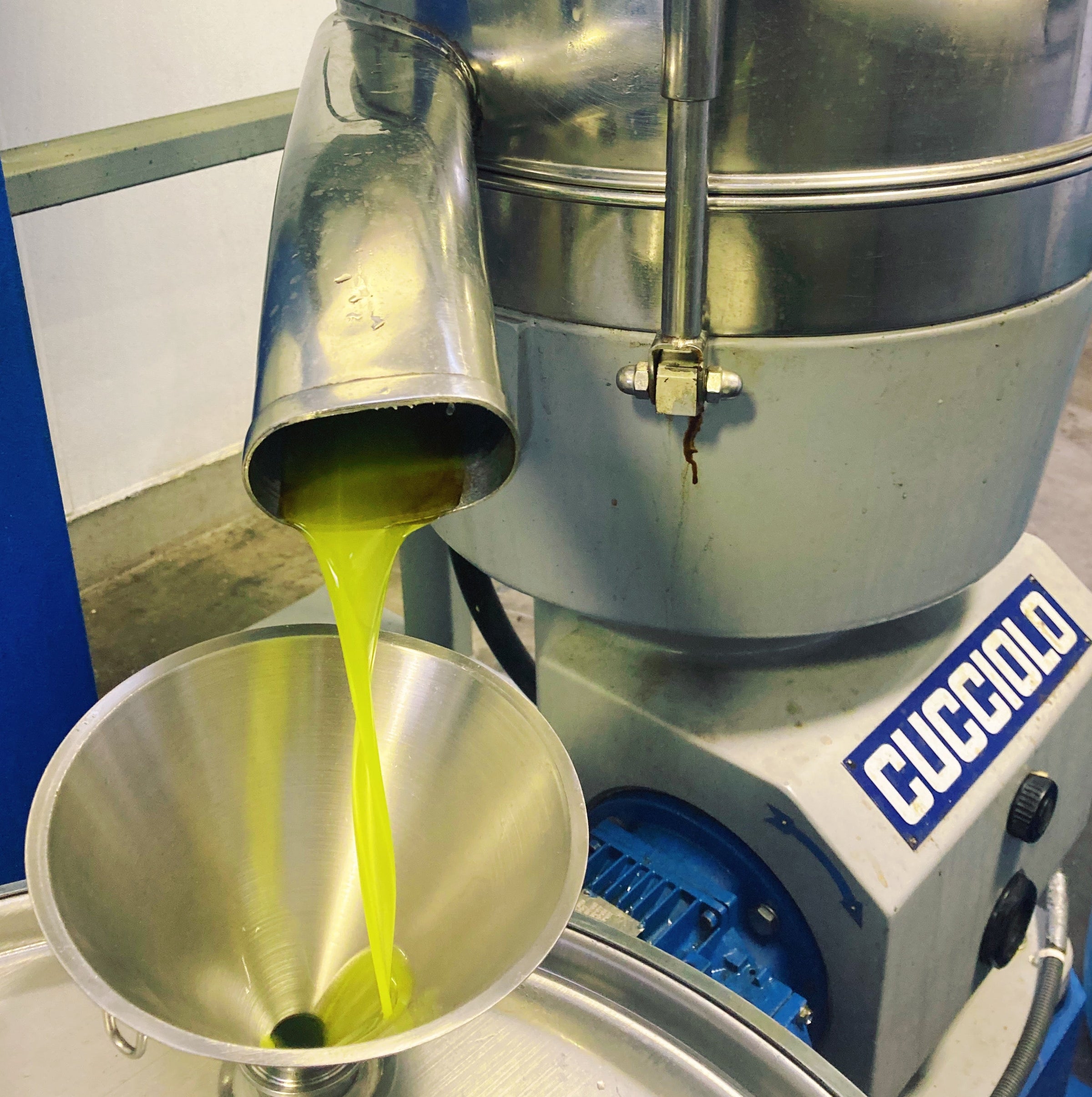 Olio Nuovo - Frantoio Grove