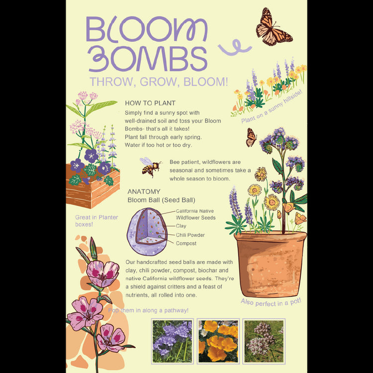 Bloom Bombs - Wildflower Seeds - Frantoio Grove