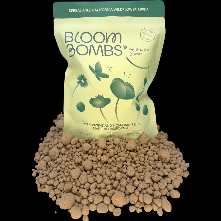Bloom Bombs - Wildflower Seeds - Frantoio Grove