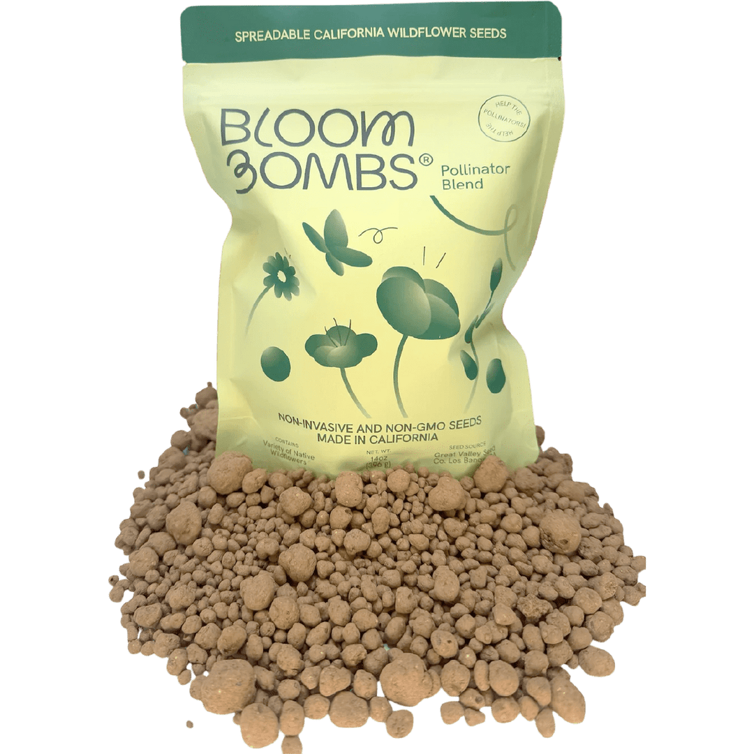 Bloom Bombs - Wildflower Seeds - Frantoio Grove