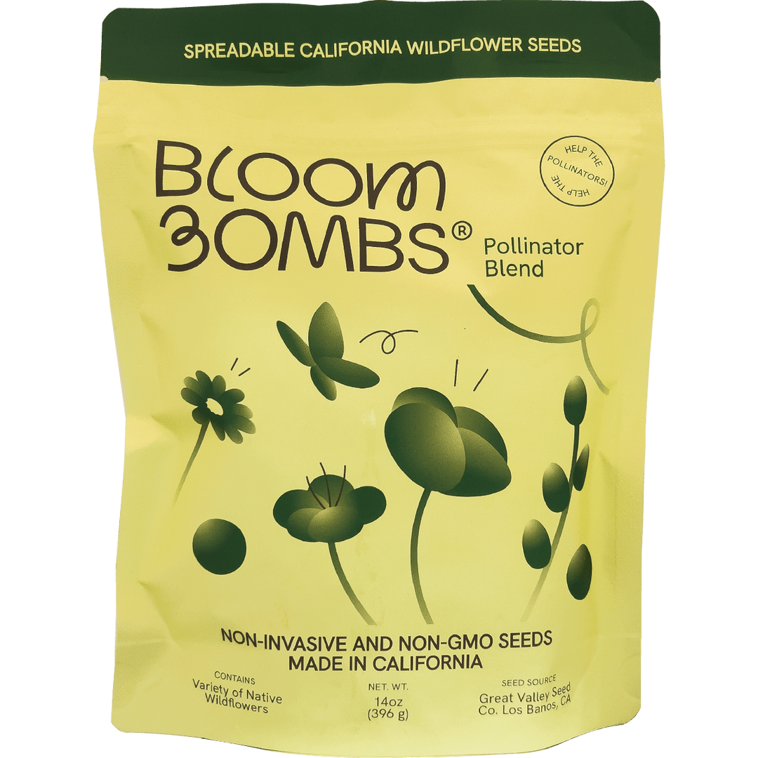Bloom Bombs - Wildflower Seeds - Frantoio Grove