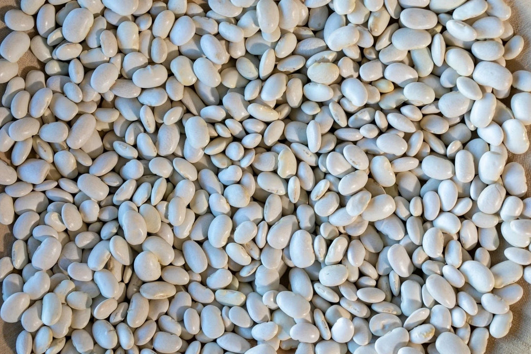 Rancho Gordo - Ayocote Blanco - Heirloom Bean - Dry Beans - Frantoio Grove