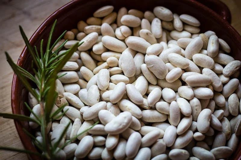 Rancho Gordo - Marcella - Heirloom Bean - Dry Beans - Frantoio Grove