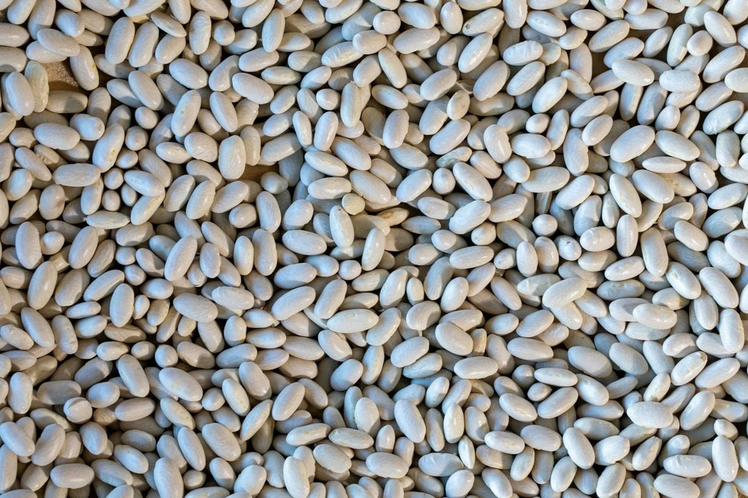 Rancho Gordo - Marcella - Heirloom Bean - Dry Beans - Frantoio Grove