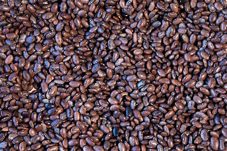 Rancho Gordo - Moro - Heirloom Bean - Dry Beans - Frantoio Grove