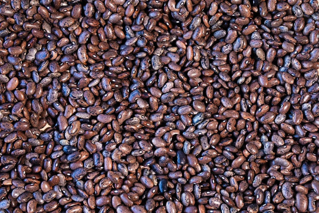 Rancho Gordo - Moro - Heirloom Bean - Dry Beans - Frantoio Grove