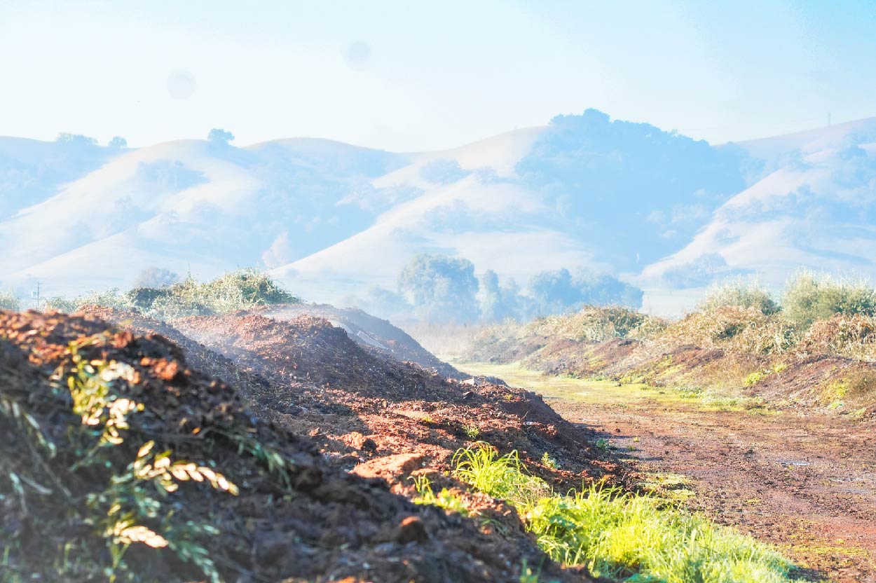 An early morning view from our farm with compost piles in our orchard and rolling hills behind