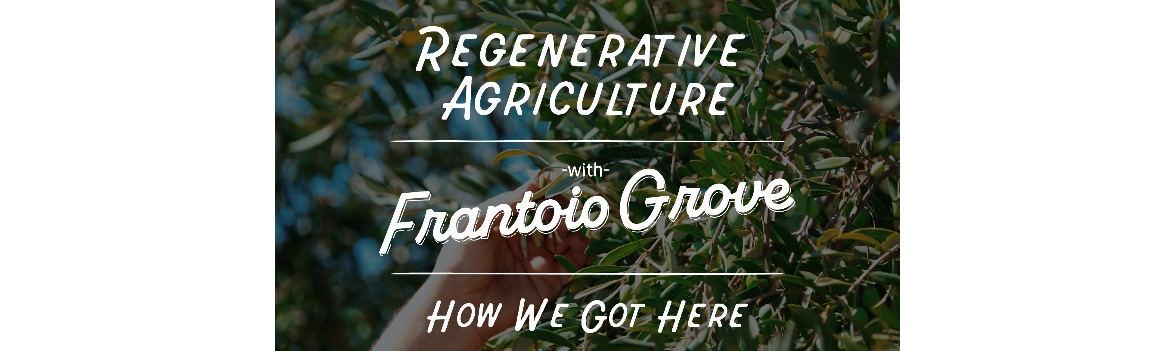 Field Report: Regenerative Agriculture: How we got here