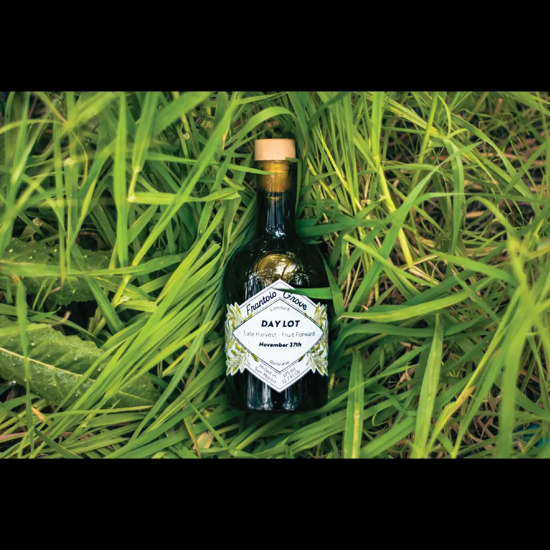 A Journey Through Our Olive Farm: From Tree to Table - Frantoio Grove