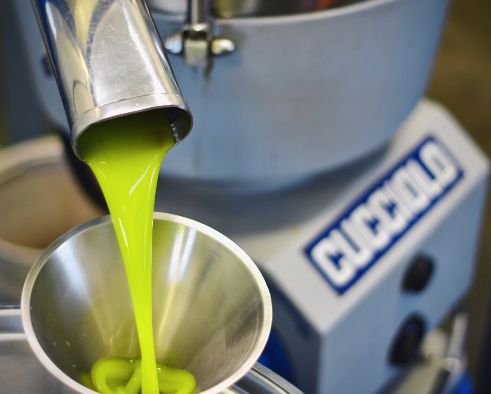 All About Polyphenol Rich Olive Oil - Frantoio Grove