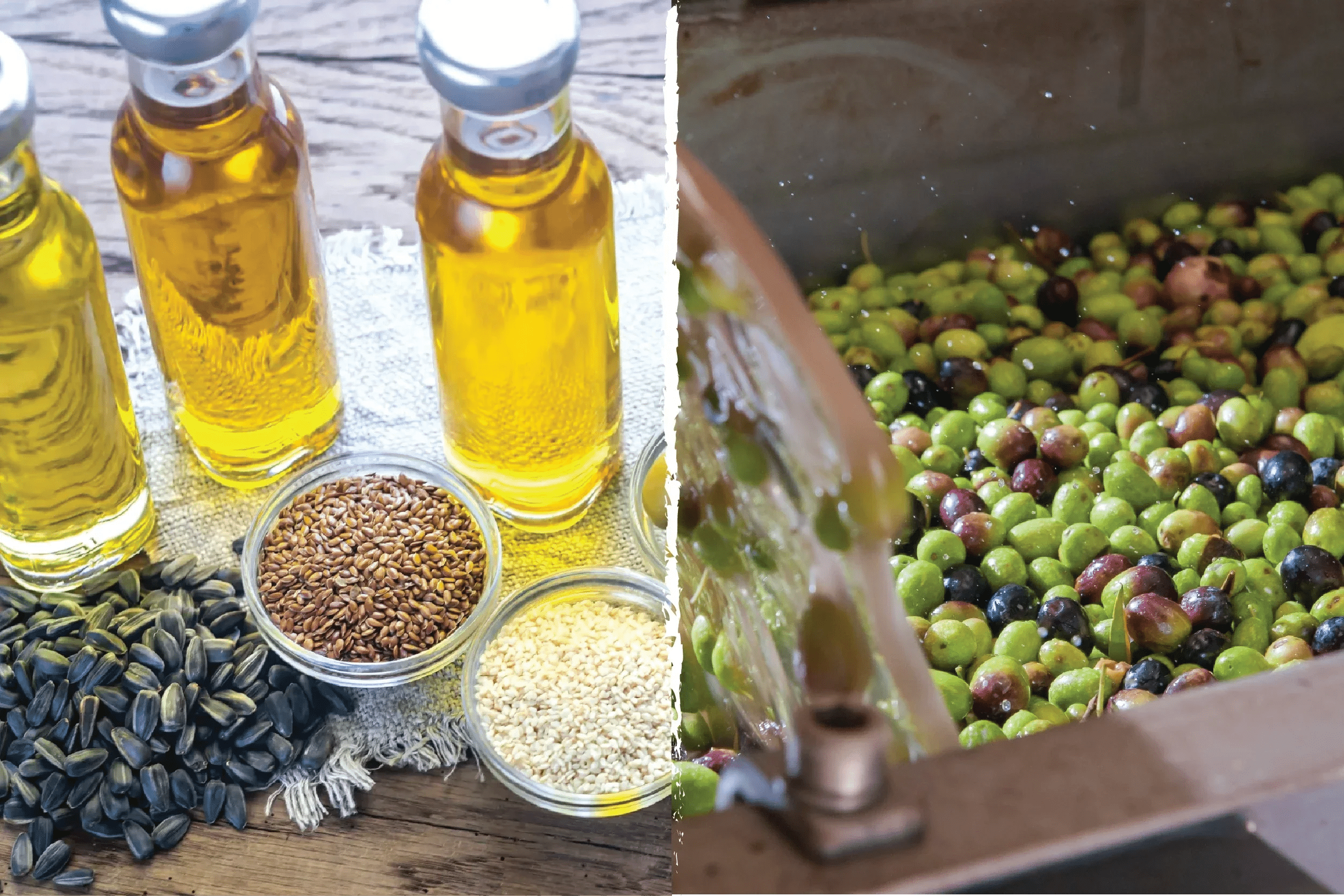 Cold Pressed Olive Oil vs. Expeller Pressed Oils - Frantoio Grove