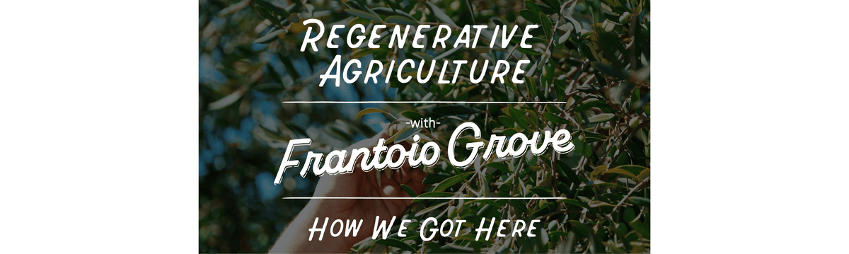 Field Report: Regenerative Agriculture: How we got here - Frantoio Grove