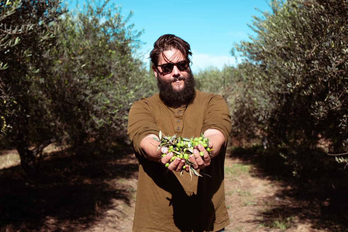 Harvest Notes 2025 - Frantoio Grove