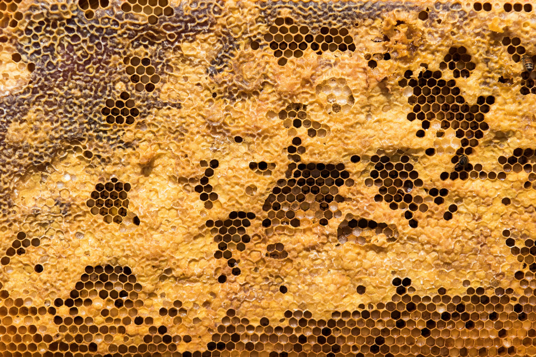 Hive-to-Table or Pasteurized-to-Packaged? Raw Honey vs. Regular Honey - Frantoio Grove