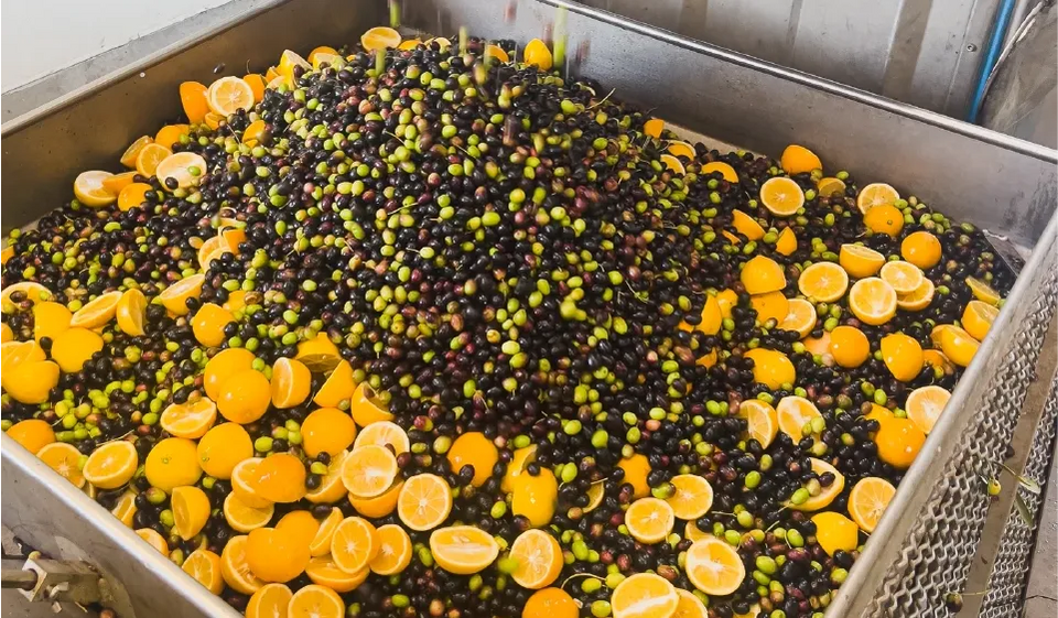 Meyer Lemon Olive Oil - Frantoio Grove