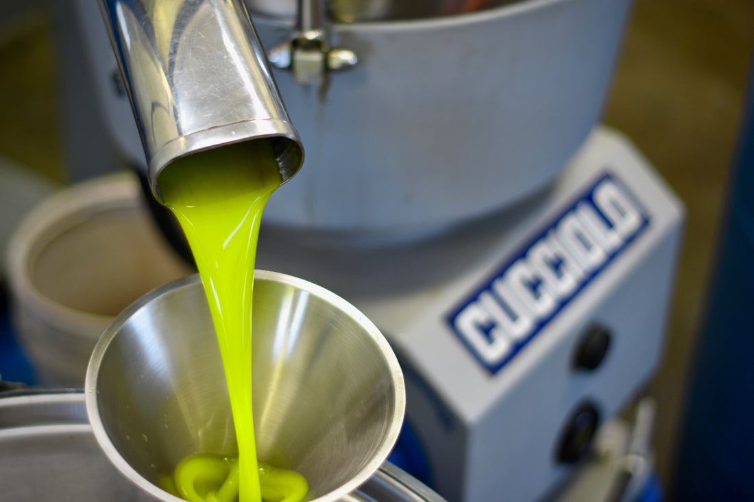 The Italian Tradition of Olio Nuovo:  Festa dell’Olio - Frantoio Grove