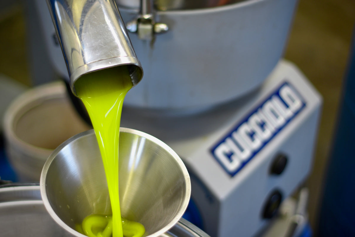 The Italian Tradition of Olio Nuovo:  Festa dell’Olio - Frantoio Grove