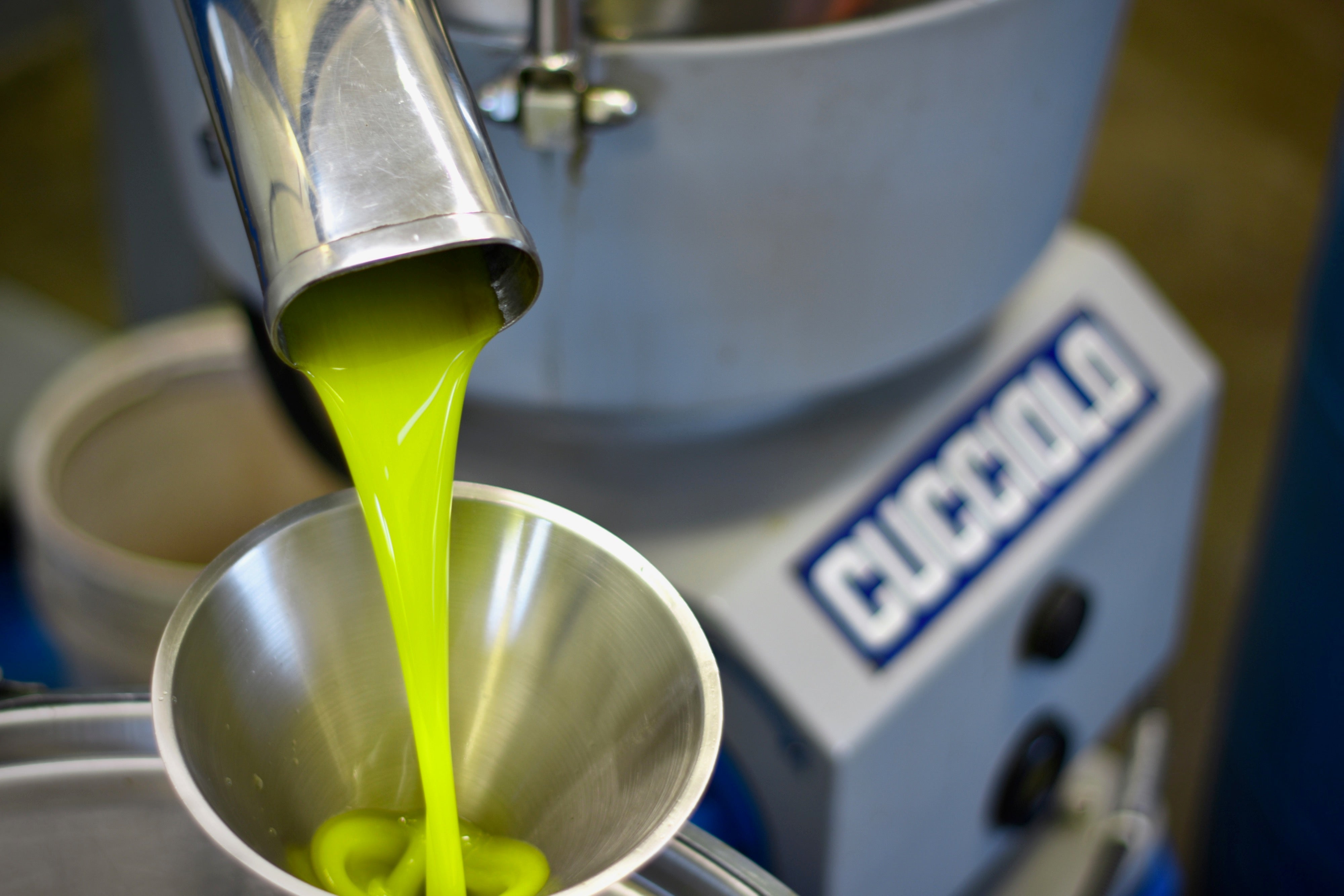 The Italian Tradition of Olio Nuovo:  Festa dell’Olio - Frantoio Grove