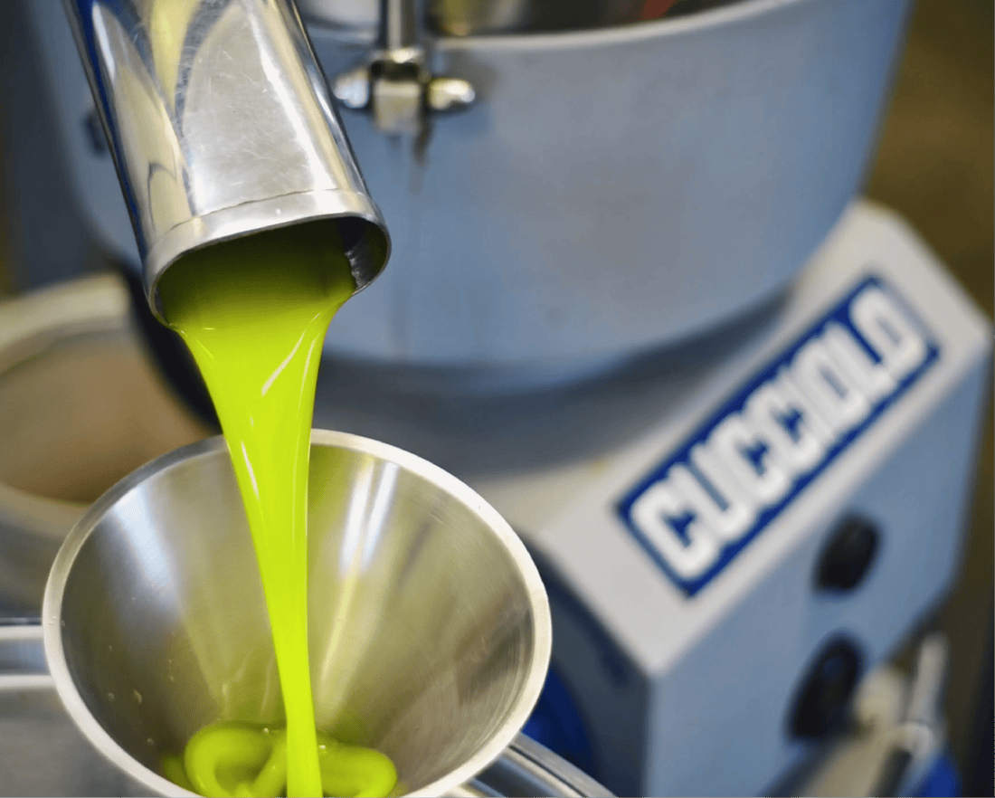 The Oil We Wait For: Making Olio Nuovo at Frantoio Grove - Frantoio Grove