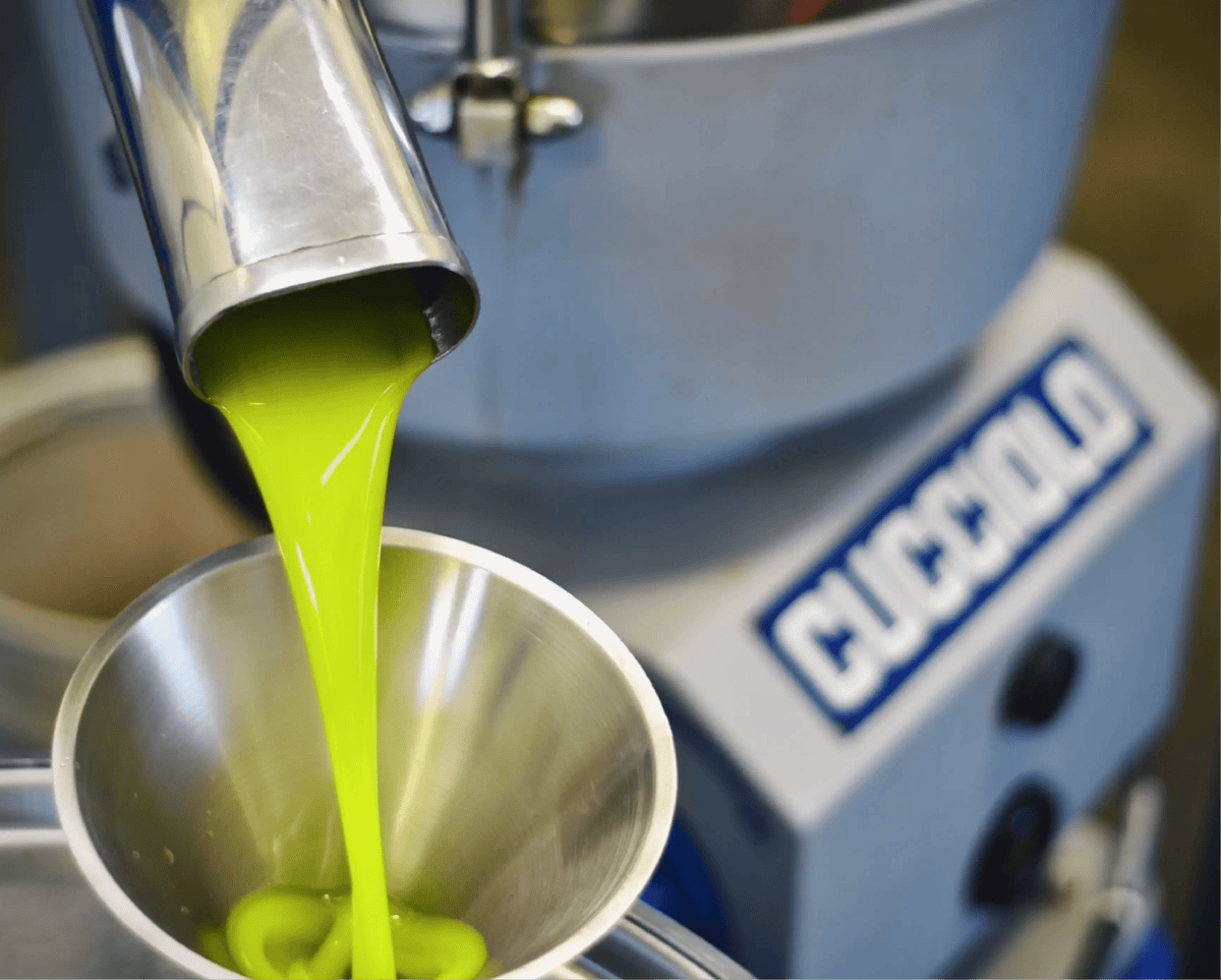 The Oil We Wait For: Making Olio Nuovo at Frantoio Grove - Frantoio Grove