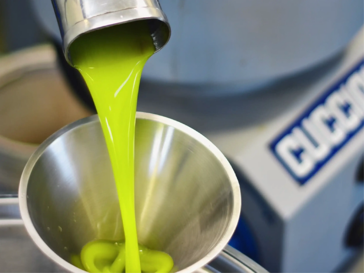 Vivid green freshly milled olive oil flowing into a metal funnel