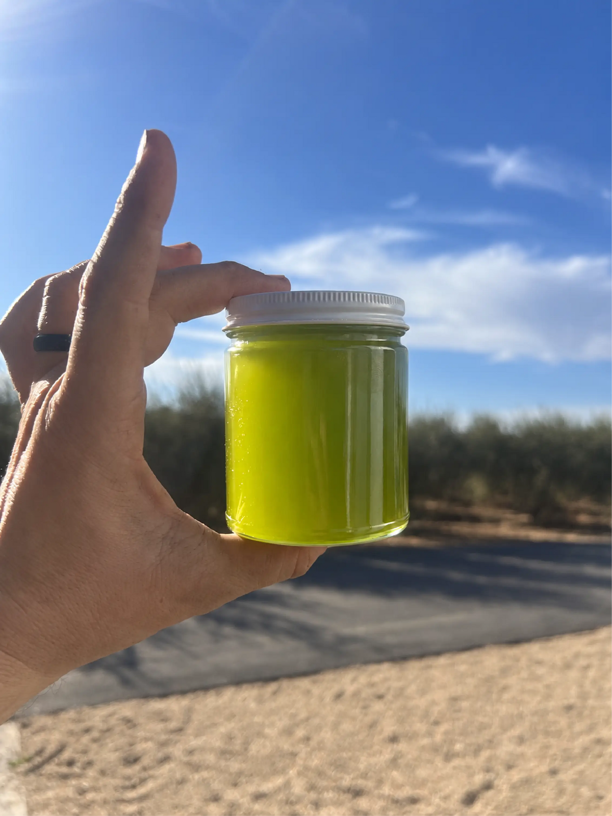 A jar of fresh green Olio Nuovo held up to the sunlight