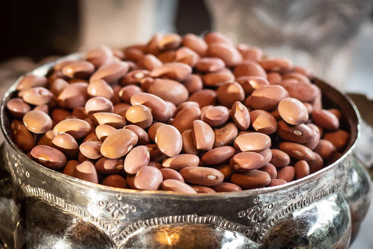 A picture of dry King City Pink beans in a textured silver bowl.