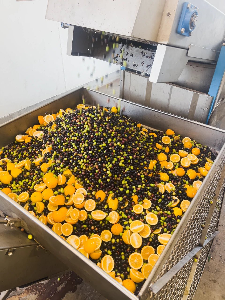 Meyer Lemon Аgrumаtо Style Oil - KATZ Farm Collaboration - Olive oil - Frantoio Grove