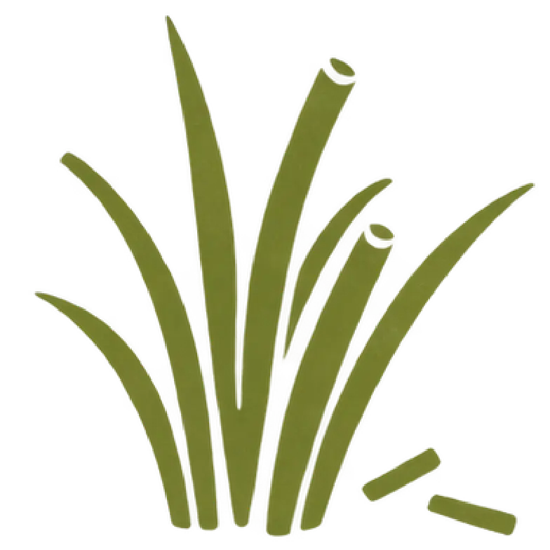 Fresh-cut grass tasting note illustration