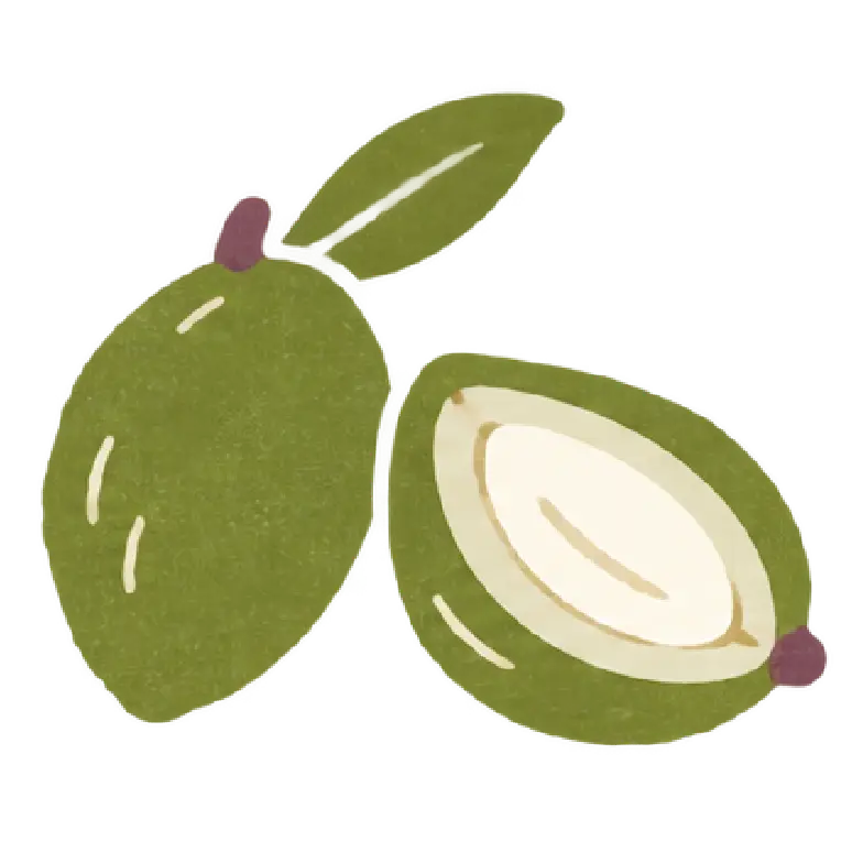 Green almond tasting note illustration