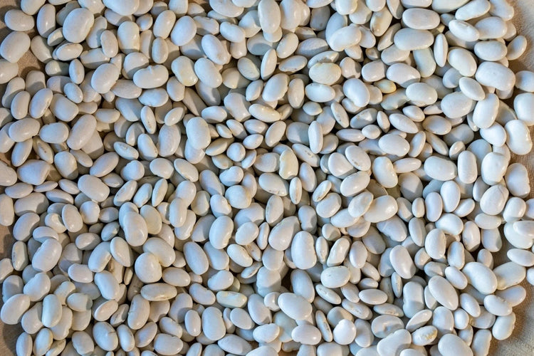 Rancho Gordo - Ayocote Blanco - Heirloom Bean - Dry Beans - Frantoio Grove