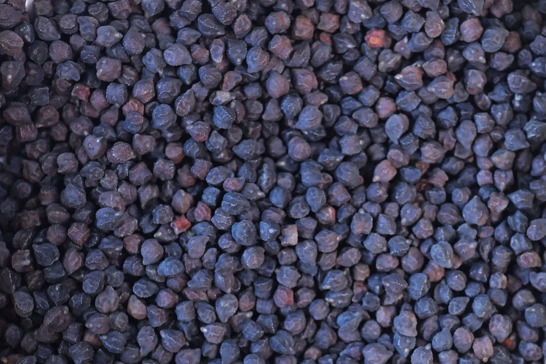 Rancho Gordo - Black Garbanzo Bean - Heirloom Bean - Dry Beans - Frantoio Grove