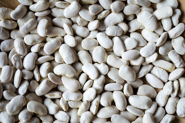 Rancho Gordo - California Corona - Heirloom Bean - Dry Beans - Frantoio Grove
