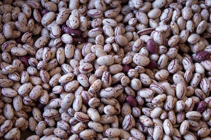 Rancho Gordo - Cranberry Bean - Heirloom Bean - Dry Beans - Frantoio Grove
