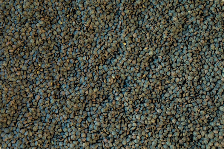 Rancho Gordo - French Style Green Lentil - Heirloom Bean - Dry Beans - Frantoio Grove