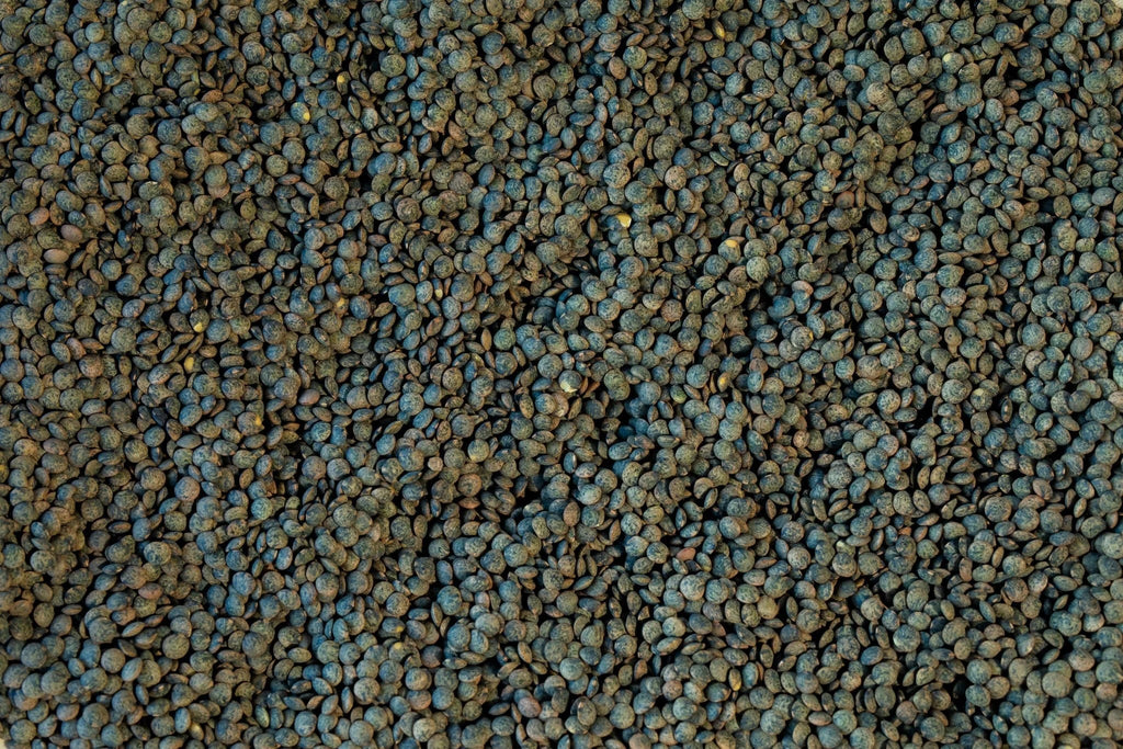 Rancho Gordo - French Style Green Lentil - Heirloom Bean - Dry Beans - Frantoio Grove