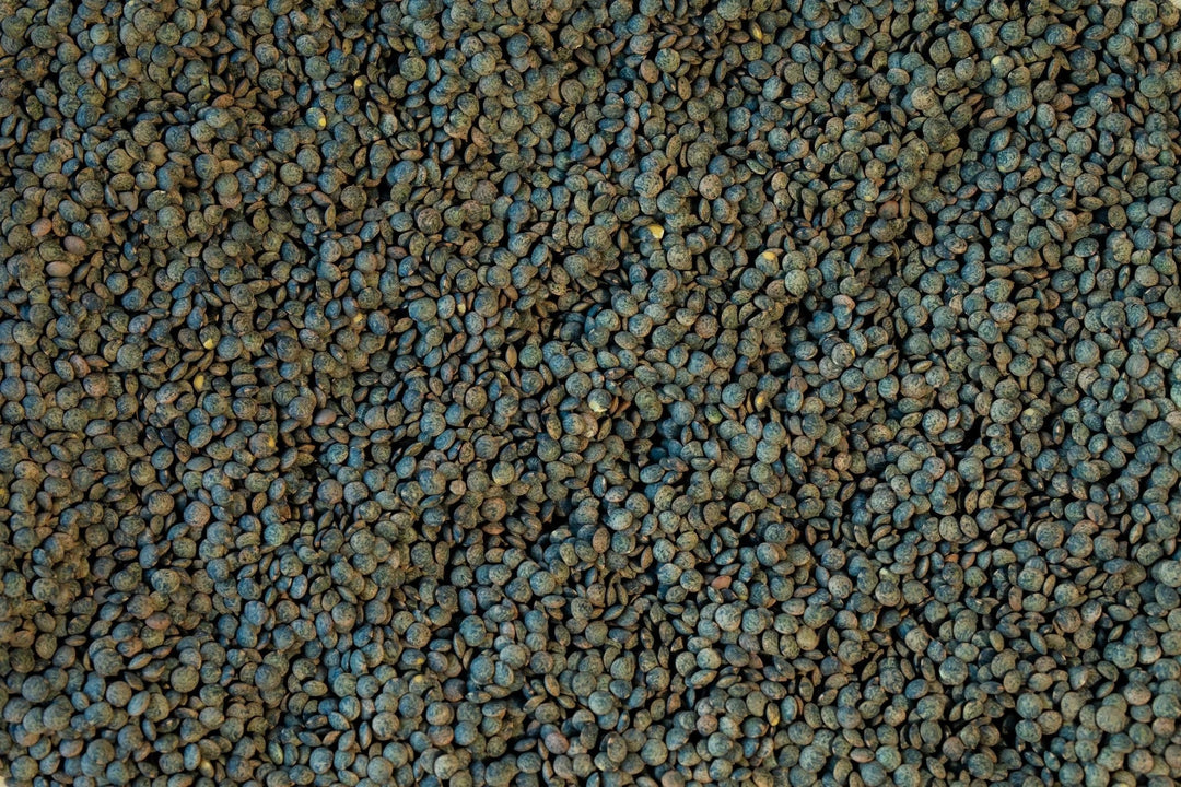Rancho Gordo - French Style Green Lentil - Heirloom Bean - Dry Beans - Frantoio Grove