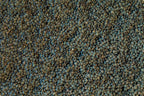 Rancho Gordo - French Style Green Lentil - Heirloom Bean - Dry Beans - Frantoio Grove