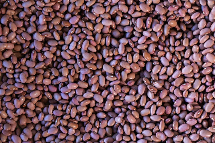 Rancho Gordo - King City Pink - Heirloom Bean - Dry Beans - Frantoio Grove