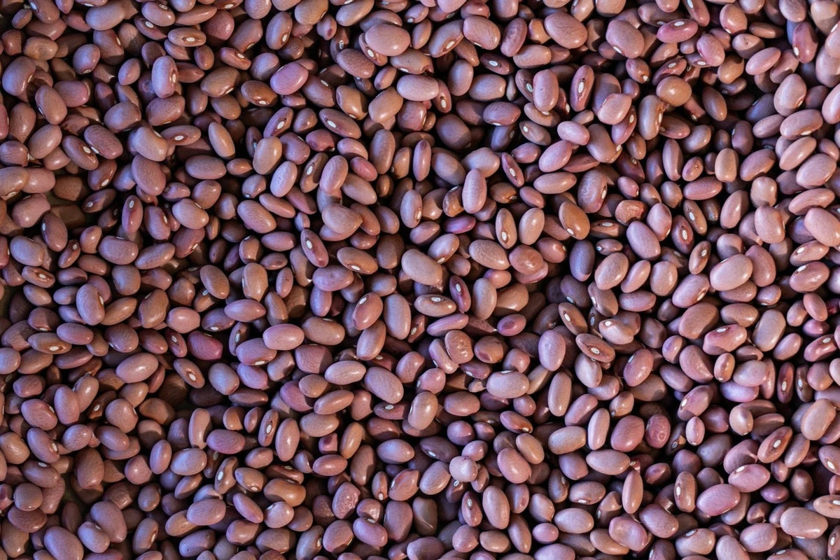 Rancho Gordo - King City Pink - Heirloom Bean - Dry Beans - Frantoio Grove
