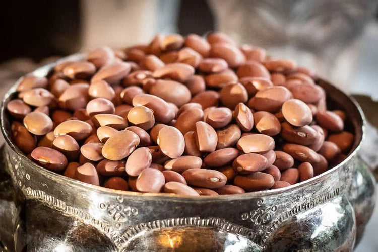 Rancho Gordo - King City Pink - Heirloom Bean - Dry Beans - Frantoio Grove