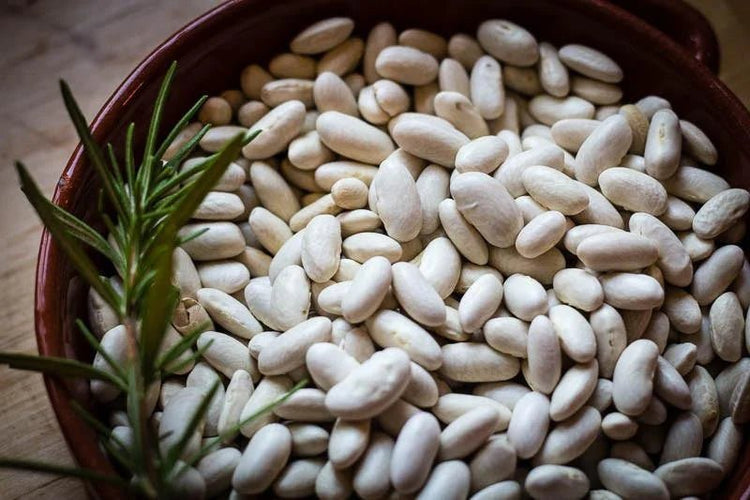 Rancho Gordo - Marcella - Heirloom Bean - Dry Beans - Frantoio Grove