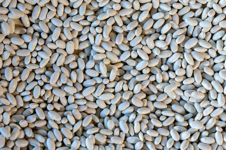 Rancho Gordo - Marcella - Heirloom Bean - Dry Beans - Frantoio Grove