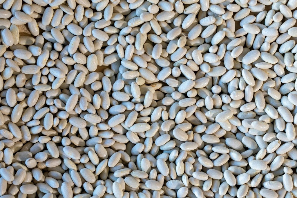 Rancho Gordo - Marcella - Heirloom Bean - Dry Beans - Frantoio Grove