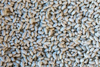 Rancho Gordo - Marcella - Heirloom Bean - Dry Beans - Frantoio Grove