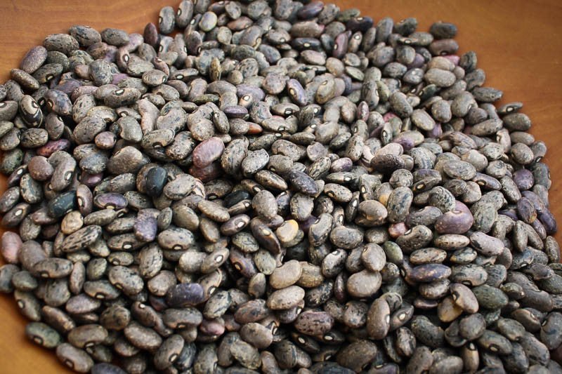 Rancho Gordo - Moro - Heirloom Bean - Dry Beans - Frantoio Grove