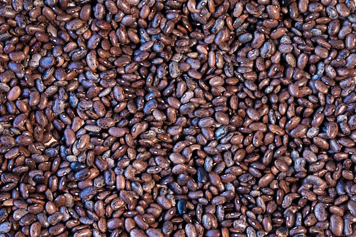 Rancho Gordo - Moro - Heirloom Bean - Dry Beans - Frantoio Grove